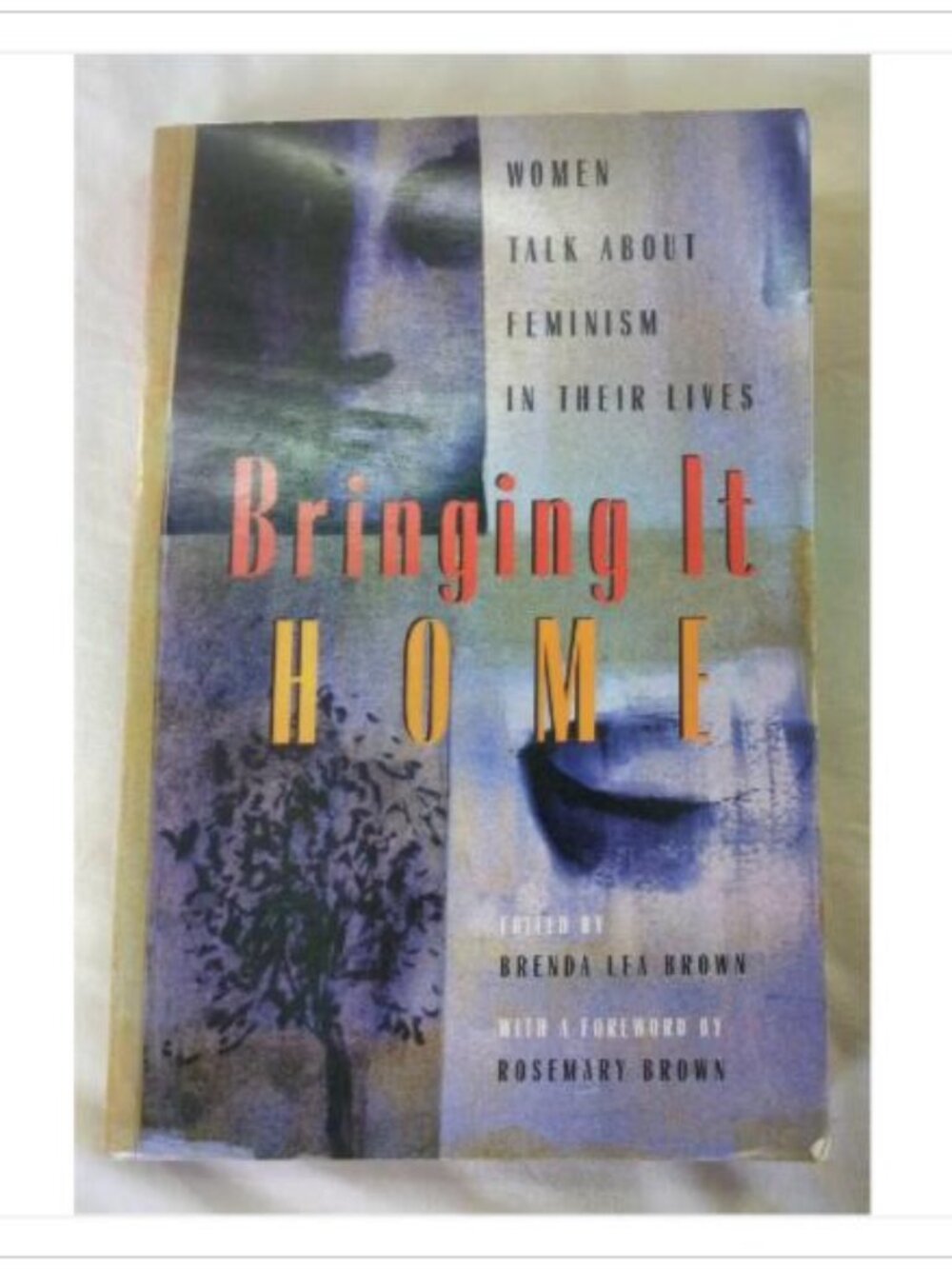 Bringing It Home Women Talk About Feminism In Their Lives Arsenal Pulp 1996 PB